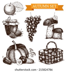 Vector collection of ink hand drawn autumn illustration. Vintage decorative harvest sketch isolated on white.