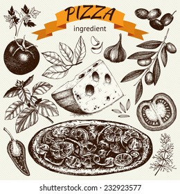 Vector collection of ink hand drawn pizza illustration isolated on white. Vintage Pizza sketch set