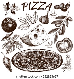 Vector collection of ink hand drawn pizza illustration isolated on white. Vintage Pizza sketch set