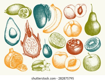 Vector collection of ink hand drawn exotic and garden fruits sketch for kitchen and restaurant design. Vintage  fruit illustration for vegetarian food.