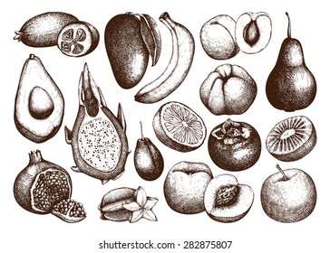 Vector collection of ink hand drawn exotic and garden fruits sketch for kitchen and restaurant design. Vintage  fruit illustration for vegetarian food.