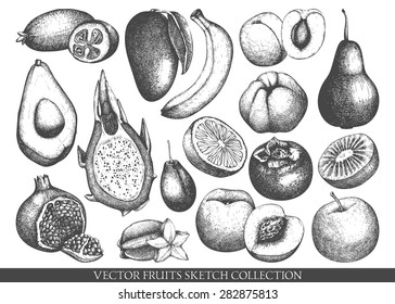 Vector collection of ink hand drawn exotic and garden fruits sketch for kitchen and restaurant design. Vintage  fruit illustration for vegetarian food.