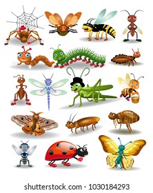 vector collection of insects isolated on a white background