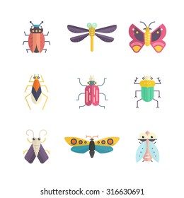 Vector collection of insects made in modern flat style. Colorful bugs for your design. Nature elements made in vector.