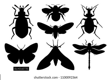 Vector collection of insects silhouettes - butterflies, beetles, dragonfly, cicada and bumblebee isolated on white background. Entomological icons set.