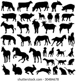 vector collection of isolated domestic farm animals