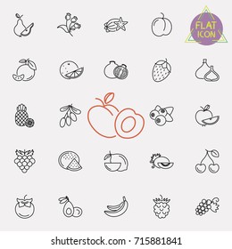 Vector Collection of Isolated Fruit Outline Icons