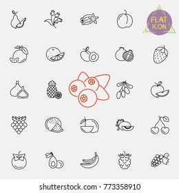 Vector Collection of Isolated Fruit Outline Icons