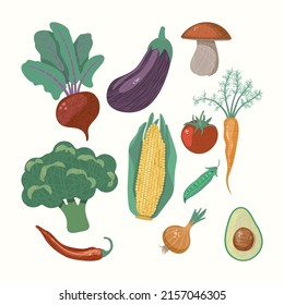 Vector collection of isolated illustration of vegetables with texture.