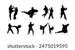 vector collection of karate martial arts silhouette illustrations