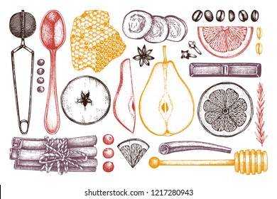 Vector collection of kitchen herbs, spices, dried fruits and berries. Hand sketched ingredients for winter food and hot drinks. Christmas menu design elements. 
