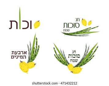 Vector collection of labels and elements for Jewish holiday. Icons and badges with signature Happy Sukkot, four species in Hebrew. 