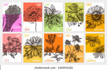 Vector collection of labels, stickers and cards for wildflower honey products. Banners for beekeeping and apiculture with sketch hand drawn illustrations