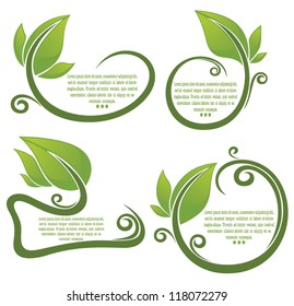 vector collection of leaf frame and form for your text