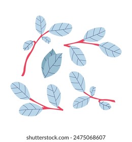 vector collection of leaf illustrations