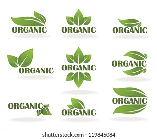 vector collection of leaf signs, symbols and organic slogans