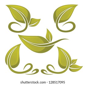 vector collection of leaf signs and symbols