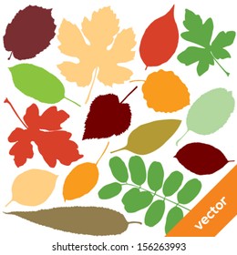 Vector collection of leaf silhouettes.