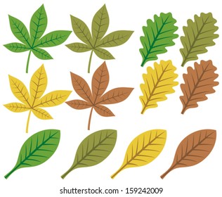 vector collection of leaf silhouettes 