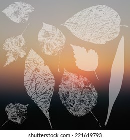 Vector collection of leaf silhouettes, leaves with blurred background, grunge texture 