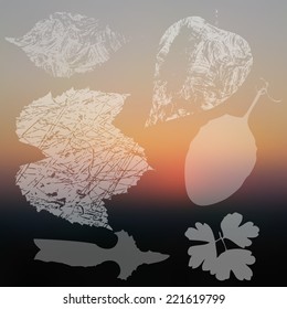 Vector collection of leaf silhouettes, leaves with blurred background, grunge texture 