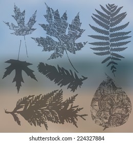 Vector collection of leaf silhouettes, leaves with blurred background, grunge texture 