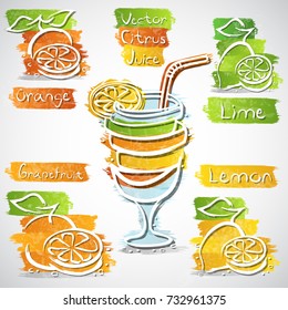 Vector collection of lemon, lime, orange and grapefruit icons with glass and slices; concept of citrus drink