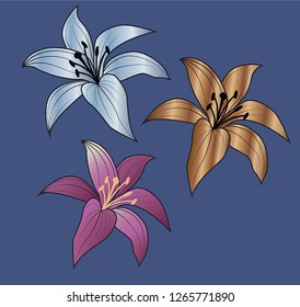 Vector collection of lilies and pink colored flowers
