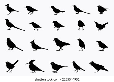 Vector collection of many types of bird silhouettes