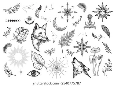 Vector collection of mystical magic boho elements isolated on white. Witchcraft astrological set. Hand drawn sketch esoteric objects