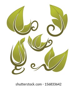 vector collection of natural drinks and fresh green leaves