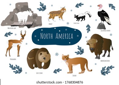 Vector collection with north american animals. Illustration with cute animals for children. Mountain goat, bobcat, pronghorn, grizzly bear, cougar and american bison. 