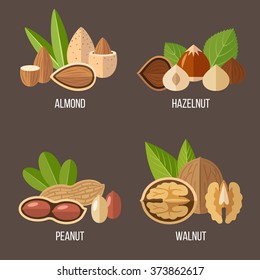 Vector collection of nuts: almond, hazelnut, peanut, walnut. Flat style.