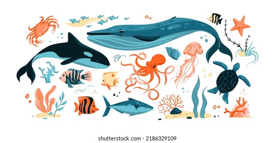 Colección vectorial de criaturas oceánicas. Pescados dibujados a mano, mamíferos marinos y plantas aisladas en un fondo blanco.