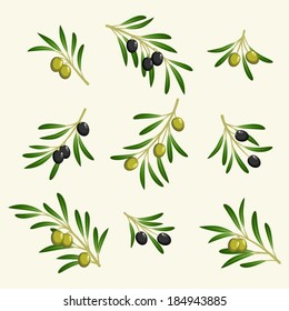 vector collection of olive branch