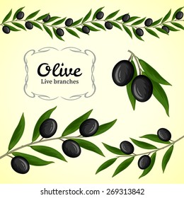 Vector collection of olive branch, black olives