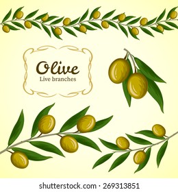 Vector collection of olive branch, green olives