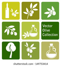 vector collection: olive icons