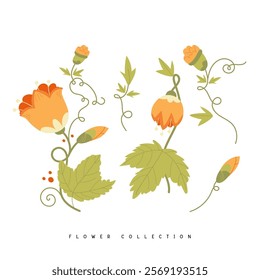 Vector Collection of orange flower elements vector. Set floral of wildflower, leaf branch, foliage on white background. Hand drawn illustration for decor, sticker, clipart, print design and card