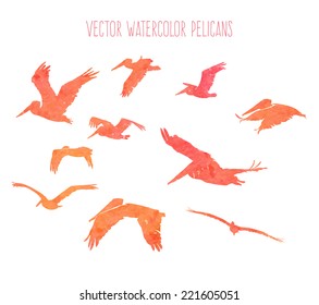Vector collection of orange watercolor bird silhouettes