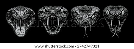 Vector collection pack four detailed monochrome snake heads showing fangs and flicking tongues illustrated on a black background.