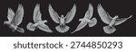 Vector collection pack six white hand-drawn flying doves illustrated on a black background.