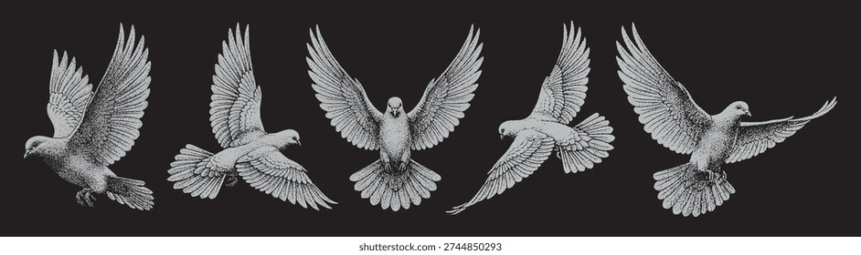 Vector collection pack six white hand-drawn flying doves illustrated on a black background.