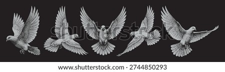 Vector collection pack six white hand-drawn flying doves illustrated on a black background.