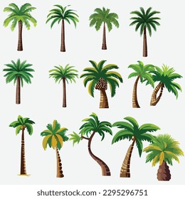 Vector Collection of Palm Trees in Different Variants, Isolated on a White Background