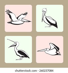 Vector collection of pelican icons.  Logos, badges and design elements.