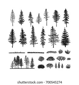 Vector collection of pines, firs, bushes and grass. Hand drawn sketch isolated on a white