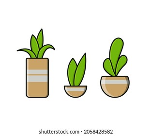 Colección vectorial de plantas aisladas en un fondo blanco. Eps 10