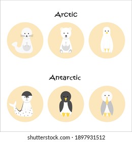 Vector collection of polar animals and birds. Polar bear, seal,  penguin, white seagull, sea leopard, albatross  isolated on white