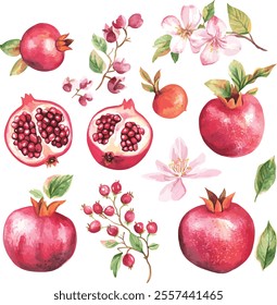 vector collection of pomegranate branches with flowers. pomegranate set. illustration vector set